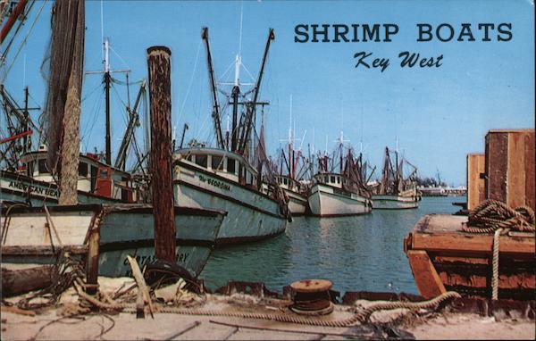 Shrimp Boats in the Harbour Key West Florida Marty Gold