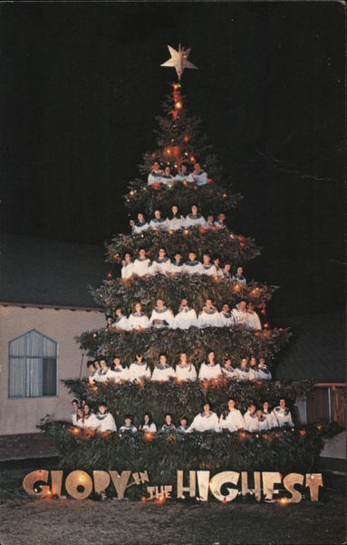 World-Famous Outdoor 'Singing Christmas Tree' Chico California
