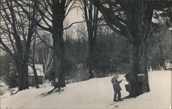 Goulds Sugarhouse Shelburne Falls Massachusetts