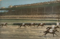 A Horse Race Postcard