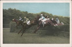 Belmont Park, Long Island Postcard