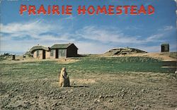 Prairie Homestead Historic Site Postcard