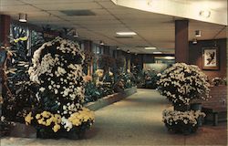 The lobby of the Callaway Gardens Greenhouse Conservatory Postcard