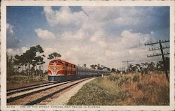 One of the Speedy Streamlined Trains in Florida Postcard