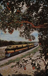 The Silver Meteor Postcard