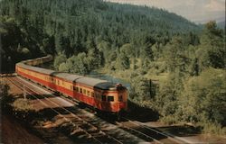 Southern Pacific's New Shasta Daylight Railroad (Scenic) Postcard Postcard Postcard