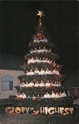 World-Famous Outdoor 'Singing Christmas Tree' Postcard