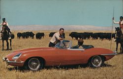 Jaguar XK-E Sports Roadster Postcard