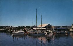 Rex Marine Center Postcard