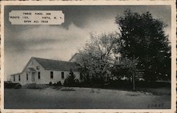 Three Pines Inn Vista, NY Postcard Postcard Postcard