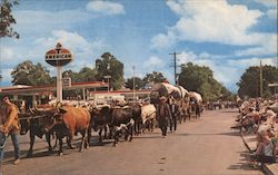 Westward Ho! Parade Pendleton, OR L. R. Callender Postcard Postcard Postcard