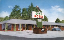 Quail Motel "Downtown" Postcard