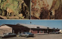 Stock #719449 Thumbnail