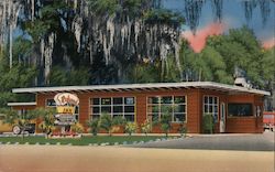 Redwood Inn Tampa, FL Postcard Postcard Postcard
