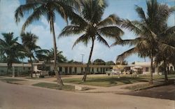 Tropical Palm Lodge West Palm Beach, FL Postcard Postcard Postcard