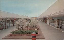 Connecticut Post Center - The Mall Postcard