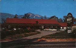 Thomas Vineyards Rancho Cucamonga, CA Dave Rubinoff Postcard Postcard Postcard