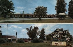 Blue Spruce Motel Postcard