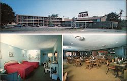 The Milford Motel Postcard