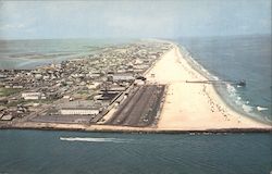 Aerial View of Ocean City Maryland Postcard Postcard Postcard