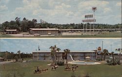 Ashburn Motor Inn Restaurant Postcard