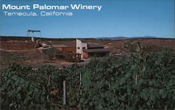 Mount Palomar Winery Postcard