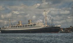 MS Nieuw Amsterdam Postcard