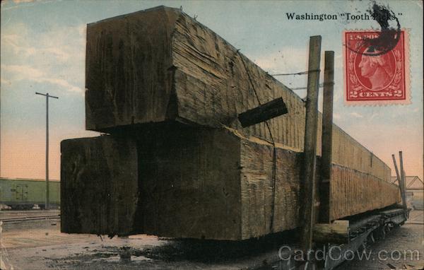 Washington Toothpicks Exaggeration