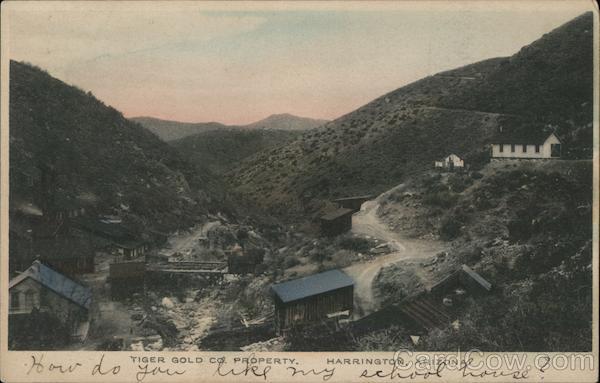 Tiger Gold Co. Property, Harrington Vail Arizona