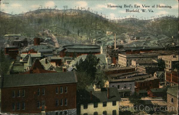 Humming Bird's Eye View of Humming Bluefield West Virginia