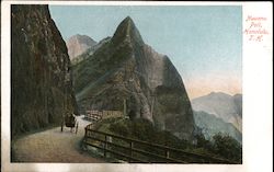 Nuuanu Pali Postcard