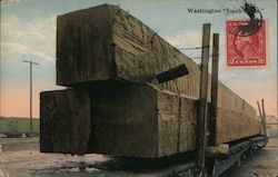 Washington Toothpicks Exaggeration Postcard Postcard Postcard
