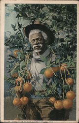Black man holding oranges Postcard