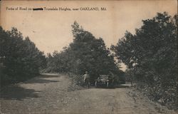 Forks of Road on Truesdale Heights Postcard