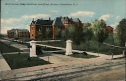State Normal College Buildings and College Avenue Postcard