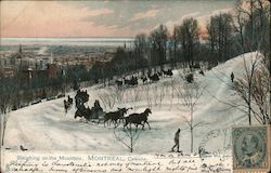 Sleighing on the Mountain Postcard