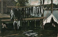 A Days Catch On Rock River Postcard