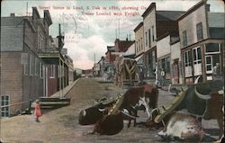 Street Scene in Lead Postcard