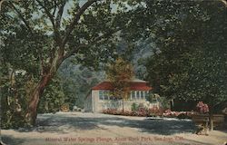 Mineral Water Springs Plunge, Alum Rock Park Postcard