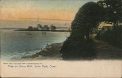 View on Shore Walk Savin Rock, CT The Rotograph Co. Postcard Postcard Postcard