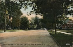 Upper Residential Section, Madison Ave. Albany, N.Y. Postcard
