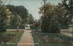 Scene in LaFayette Park Postcard