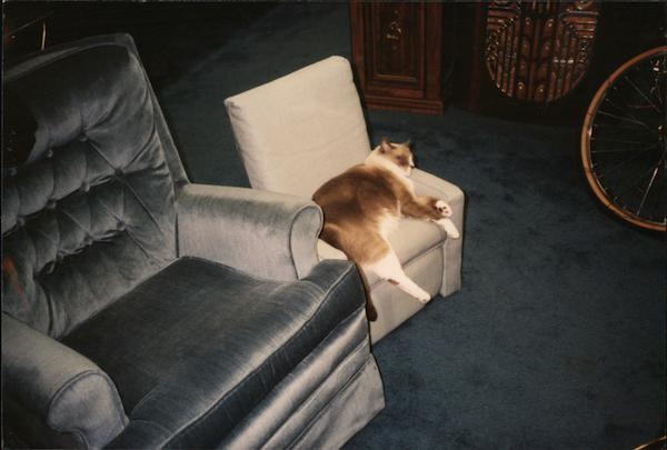 Sunshine Postcard Club Clearwater Florida