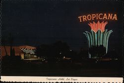 Tropicana Hotel Postcard
