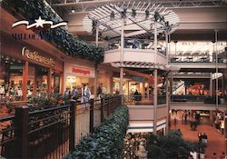 Mall of America Bloomington, MN Postcard Postcard Postcard