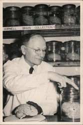 Cornell University Brain Collection 1950 Postcard