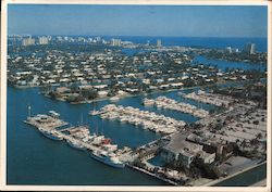 The Venice of America Postcard