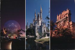 Walt Disney World Postcard