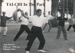 Tai Chi in the Park, Palisaides Park Postcard