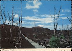 Stock #721454 Thumbnail